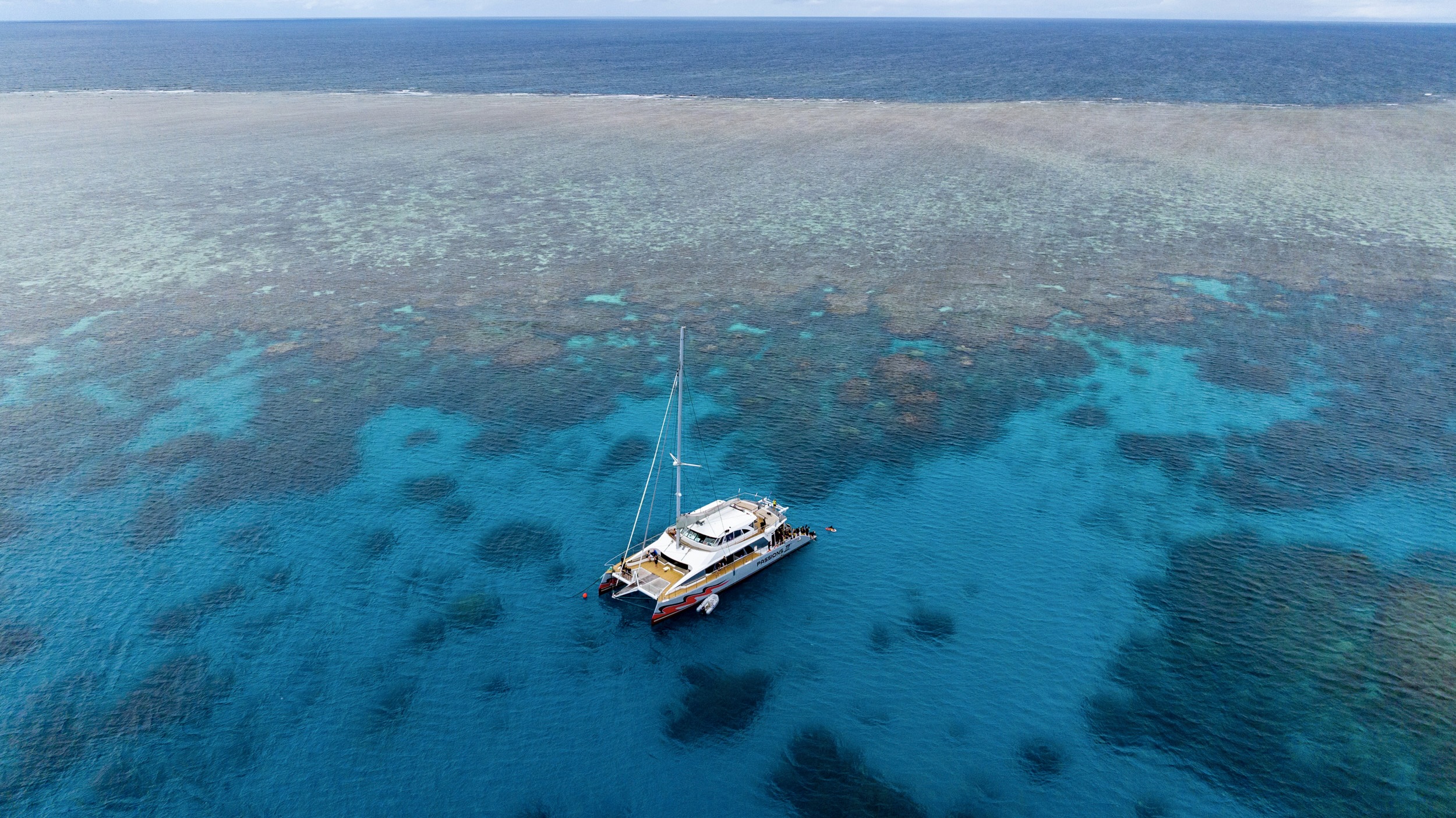 Day tour from Cairns on a high performance catamaran to experience the Great Barrier Reef