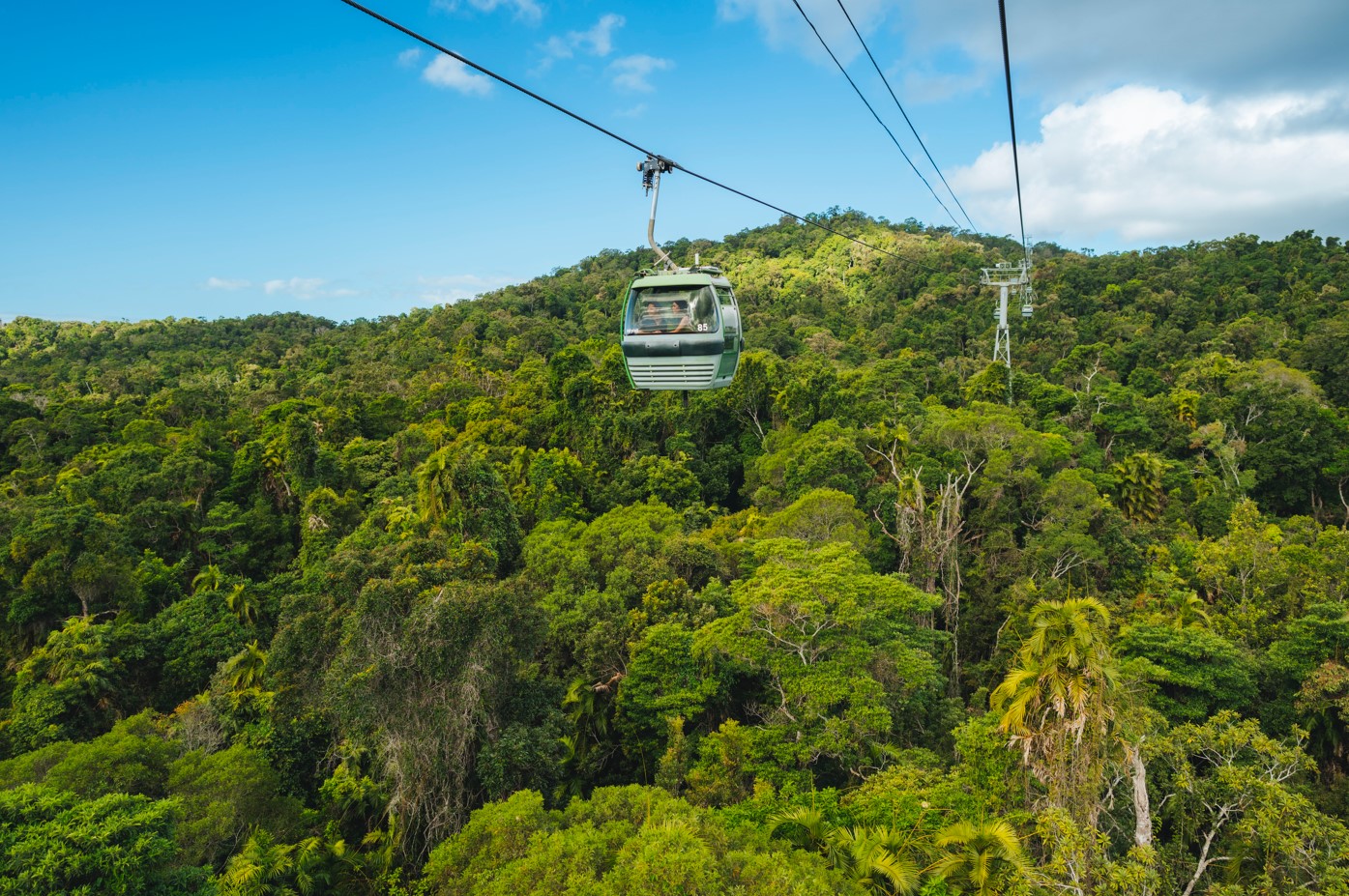 A cablecar known as the Skyrail is travelling above a vibrant thick green rainforest on a sunny clear day.