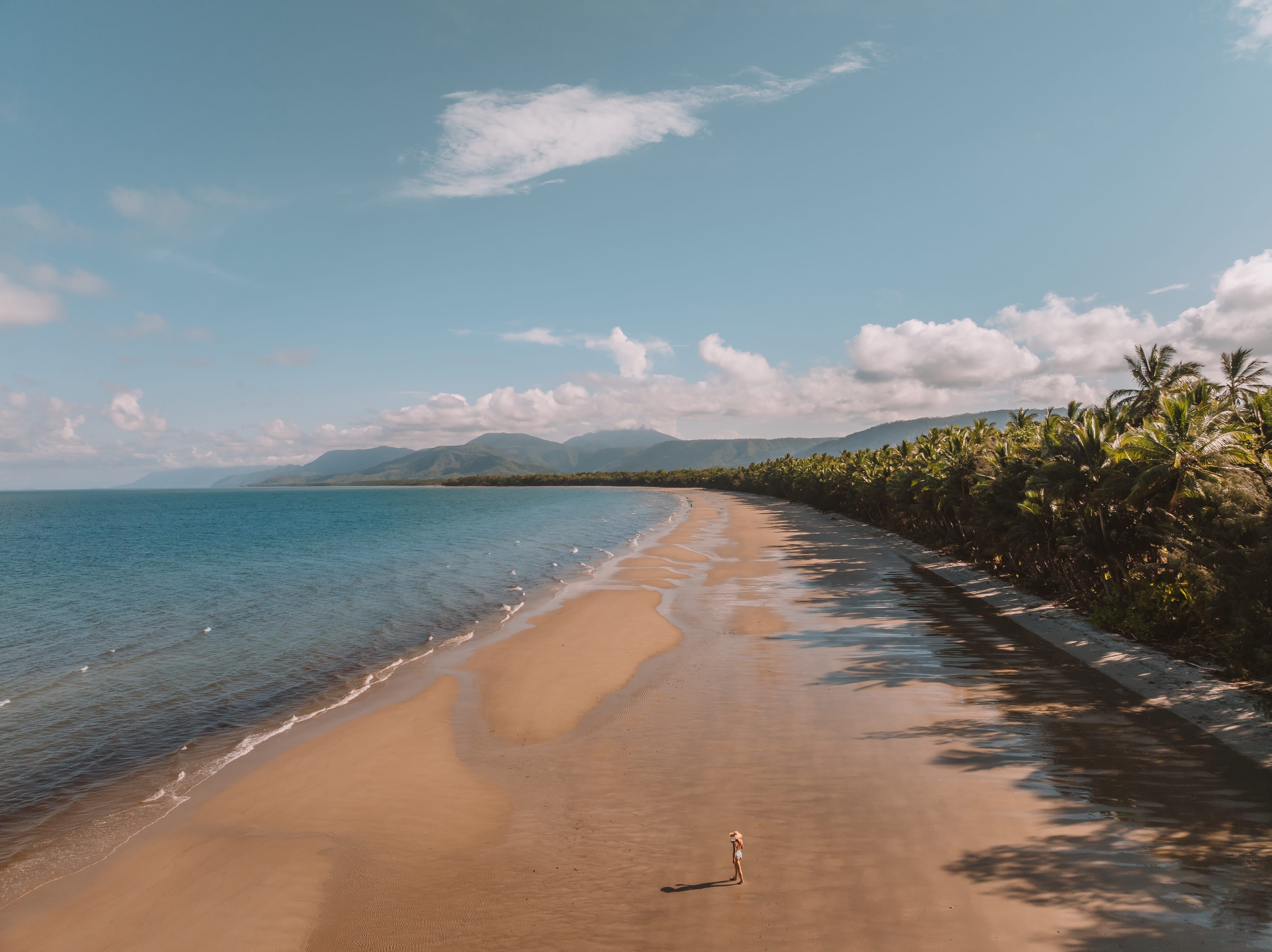 Aerial view of someone walking along the beach lined with palm trees