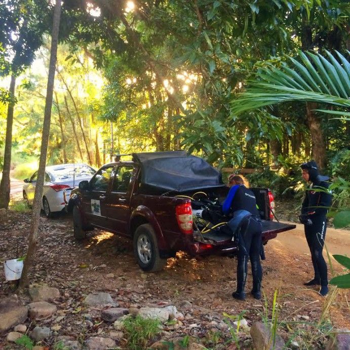 Unpacking in the forrest