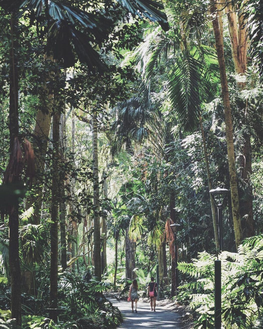 Mount Coot-tha Botanic Gardens | Sustainable city break Brisbane Mount Coot-tha Botanic Gardens | Sustainable city break Brisbane
