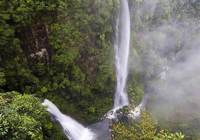Coomera and Yarrabilgong Falls | Waterfalls Gondwana Rainforest