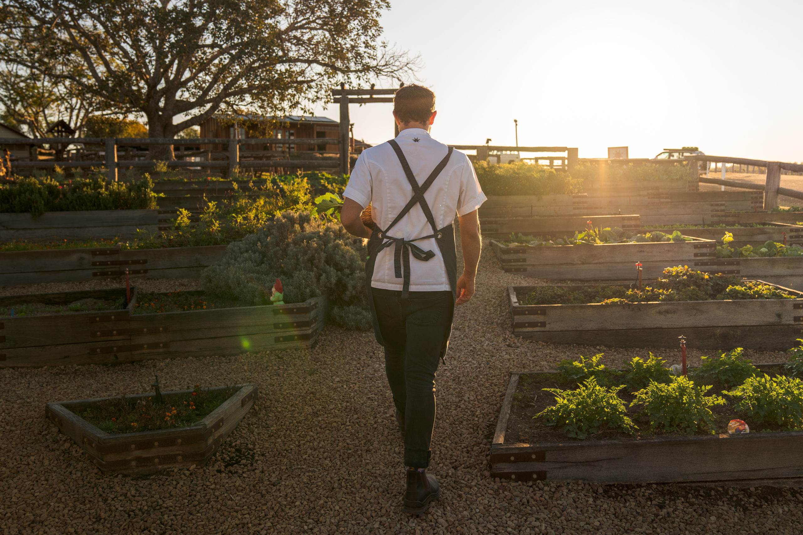 Homage Restaurant, Spicers Hidden Vale | where to eat Ipswich Homage Restaurant, Spicers Hidden Vale | where to eat Ipswich