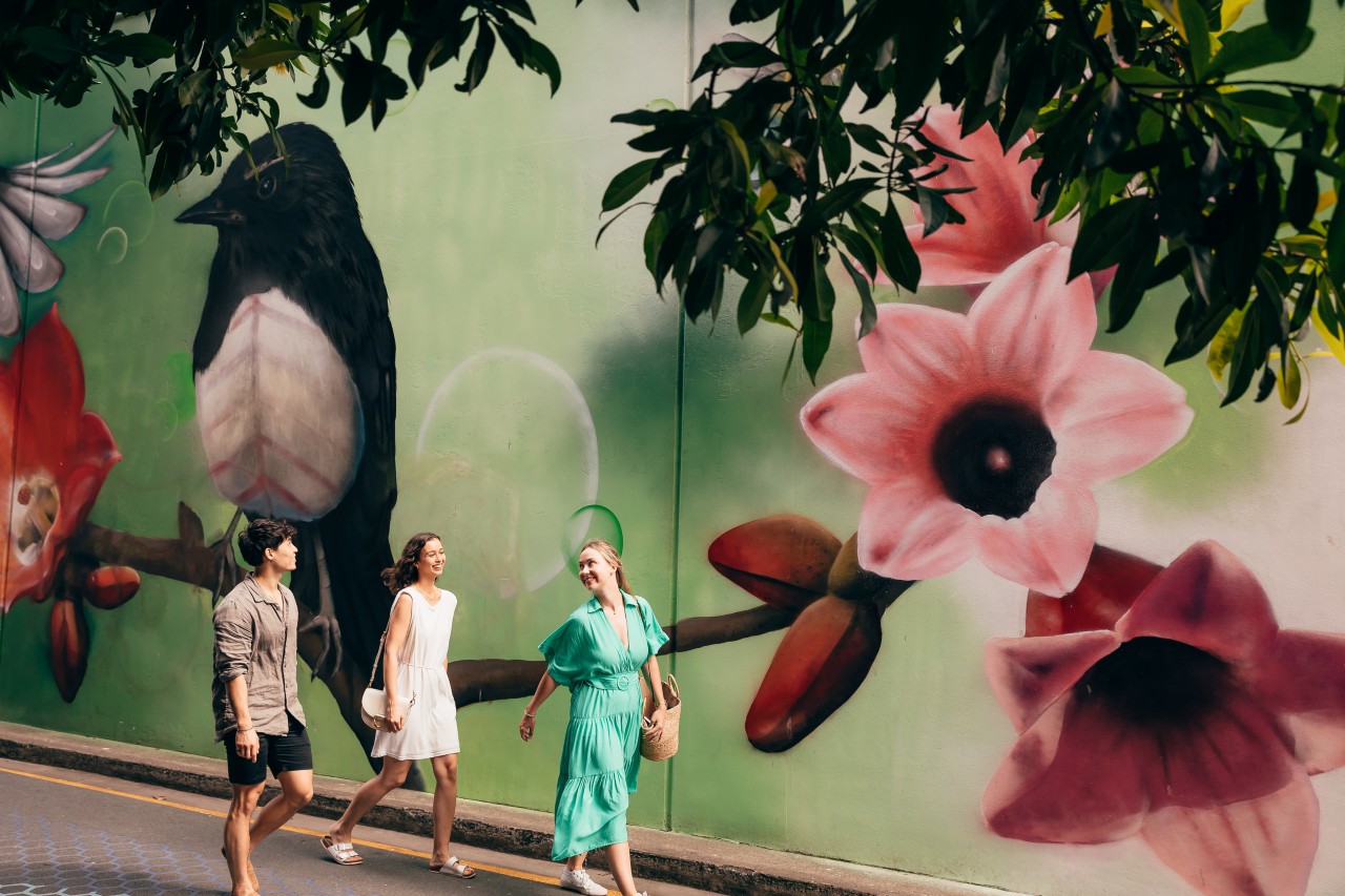 Brisbane in Spring: A Local's Guide | Queensland