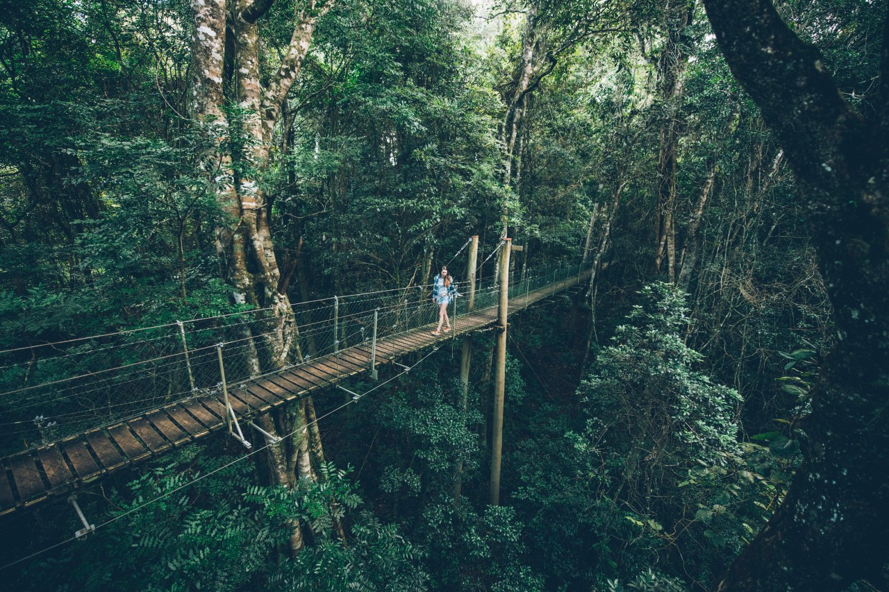 Discover the Best Hikes and National Parks Near Brisbane Queensland