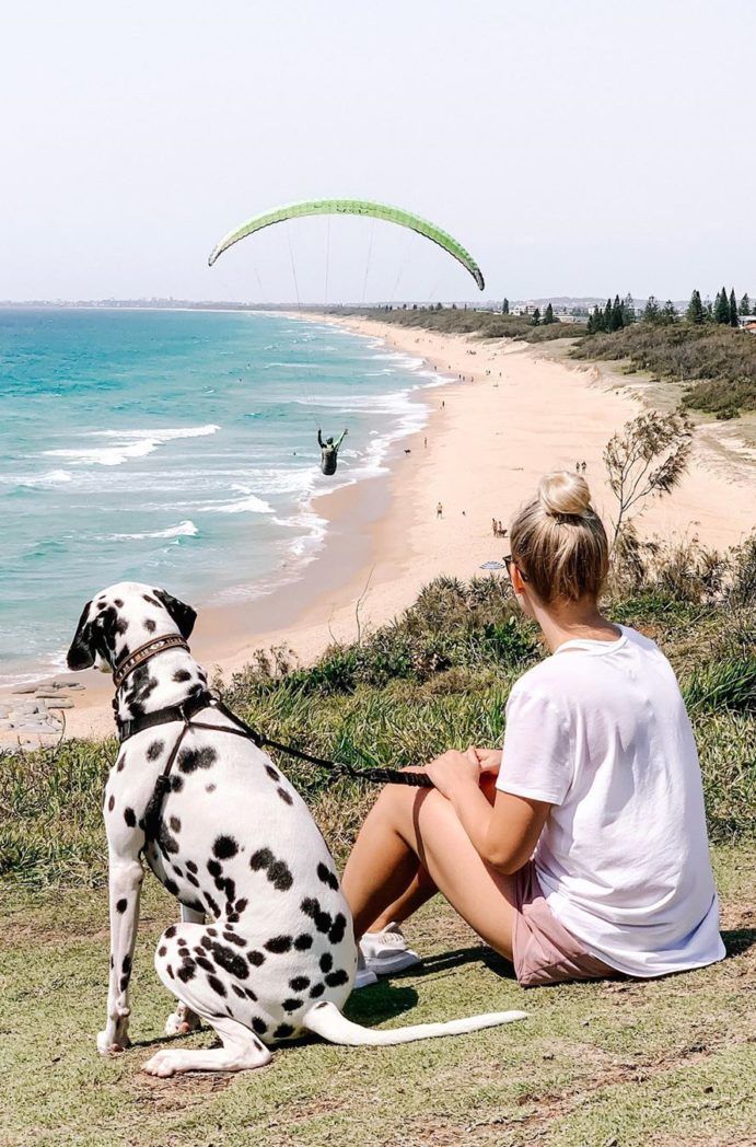 Sunshine Coast Guide To Local Secrets Queensland