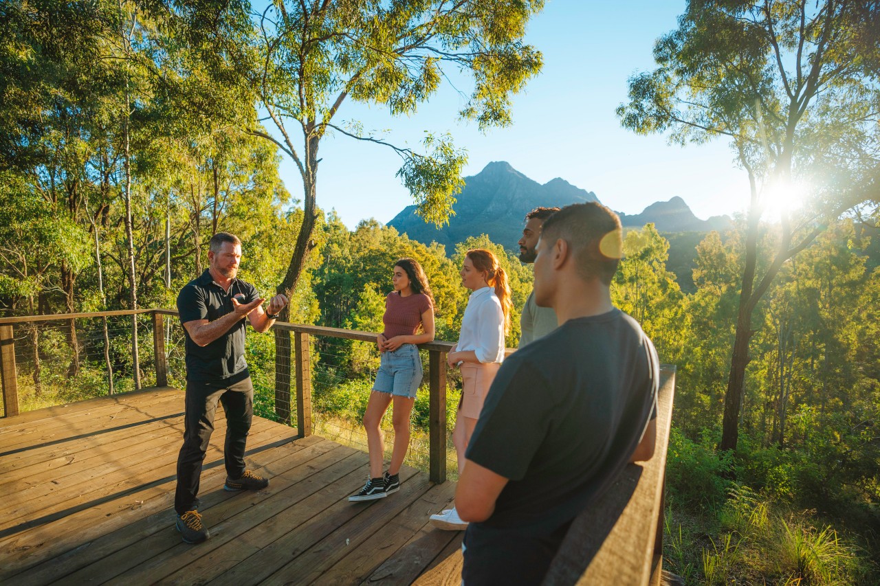 How to do the Gondwana Rainforests of Queensland Queensland