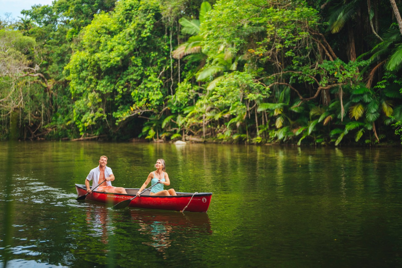 Experience The Daintree Rainforest In Four Days Itinerary Queensland