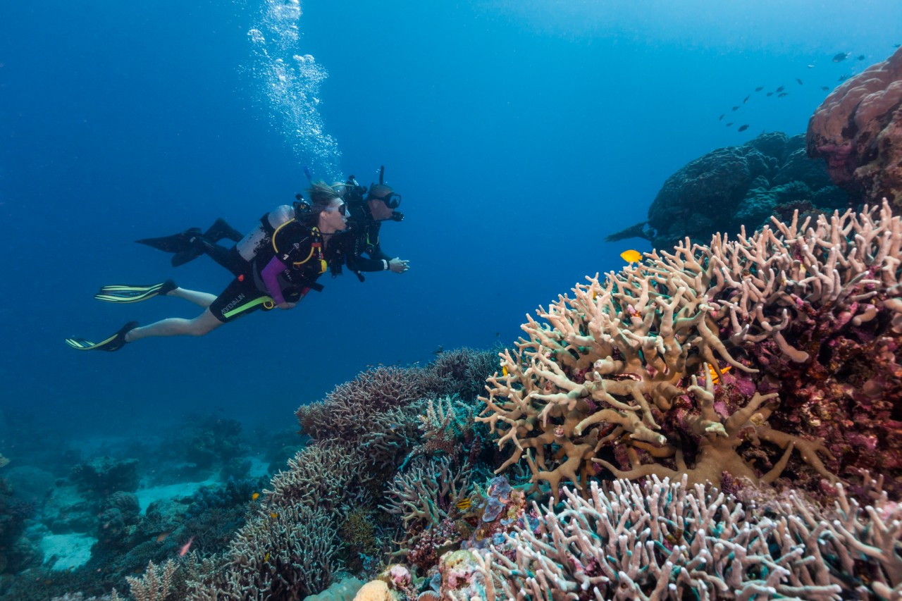 First Time Scuba Diving on the Great Barrier Reef Queensland