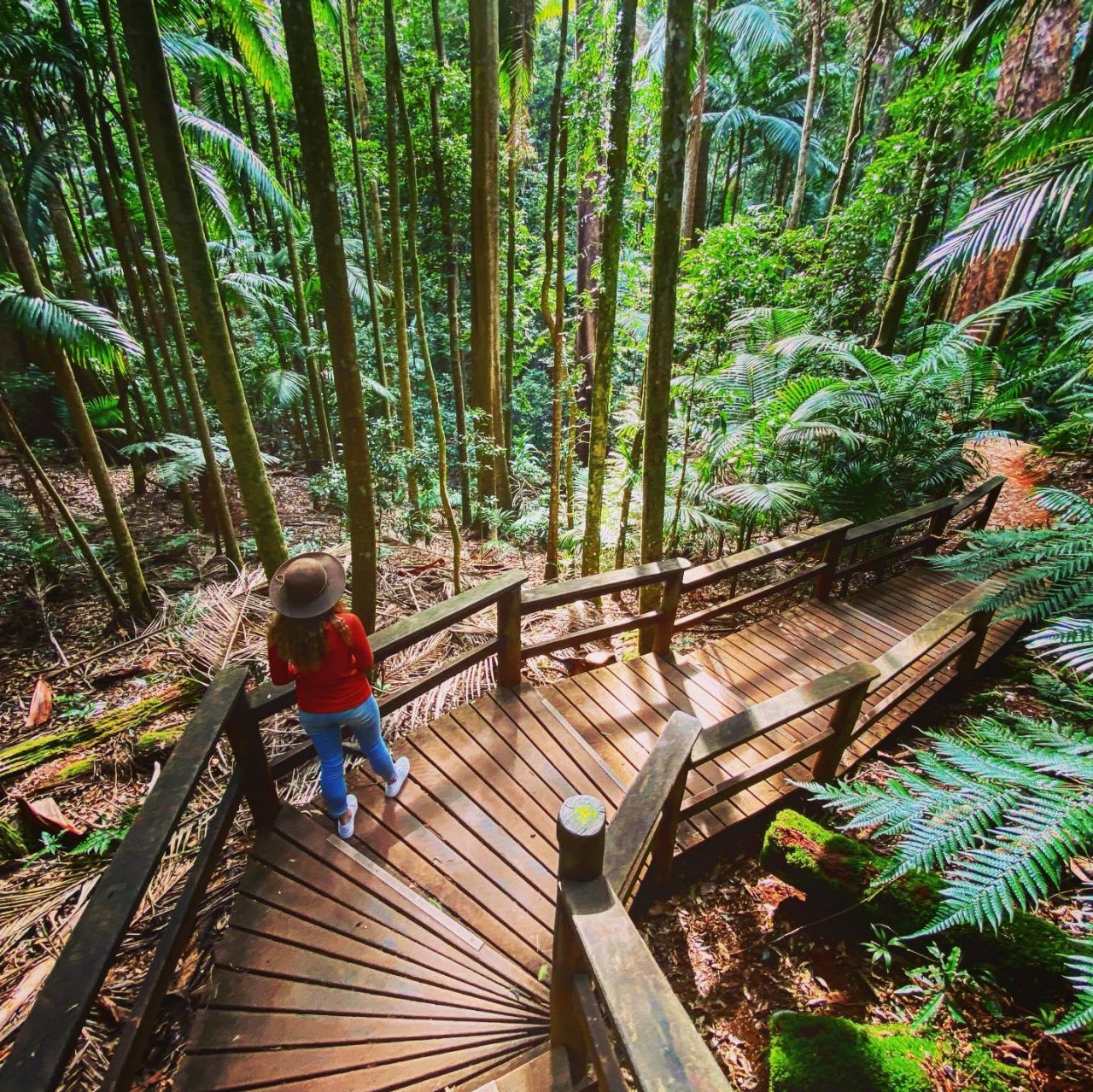 Discover the Best and National Parks Brisbane | Queensland