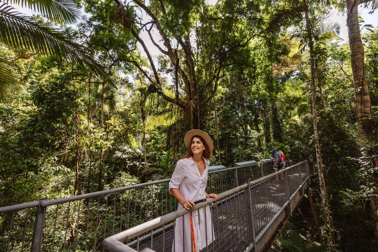 The Top 5 AweInspiring Rainforest Walks Near Cairns Queensland