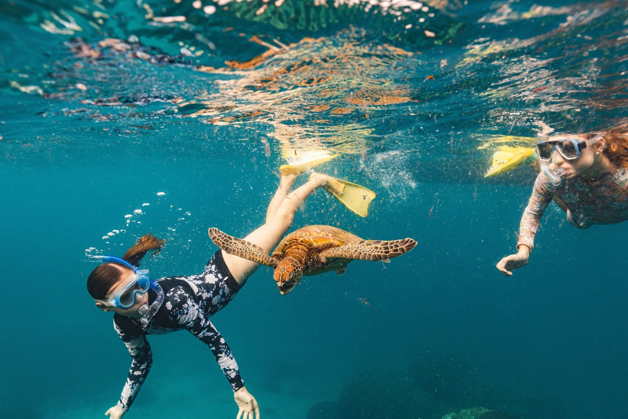5 day family itinerary on the Southern Great Barrier Reef | Queensland