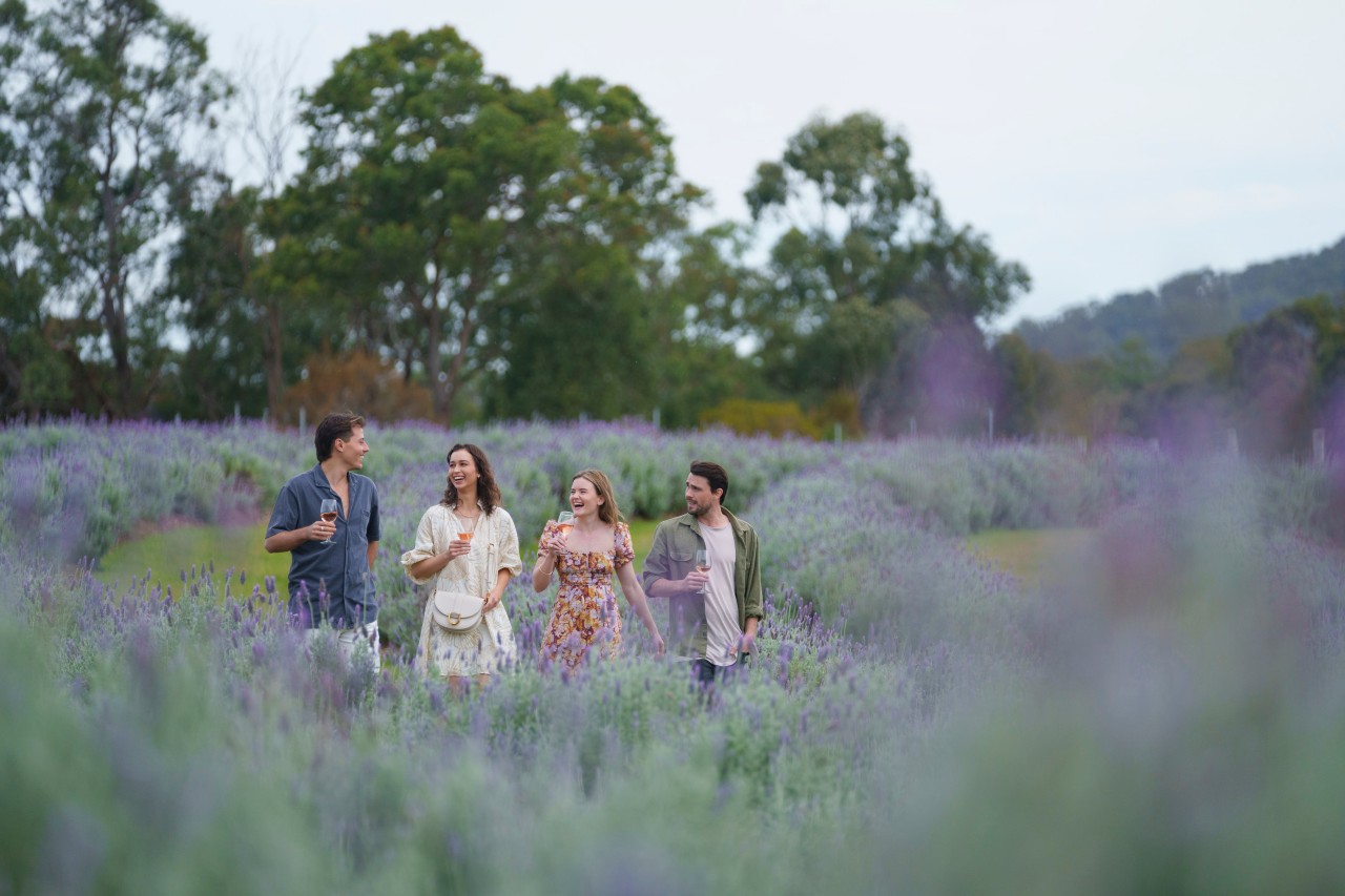 Incredible Queensland Wineries Where You Can Spend the Night Queensland