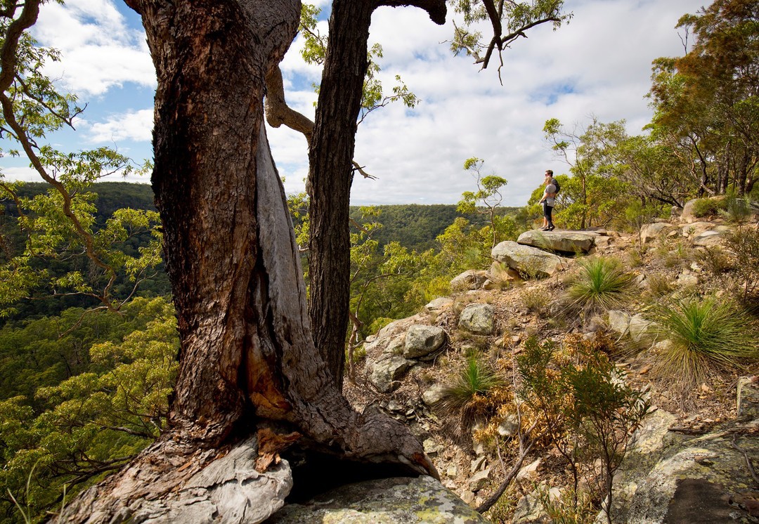 Explore the natural beauty of Boyne Valley | Queensland