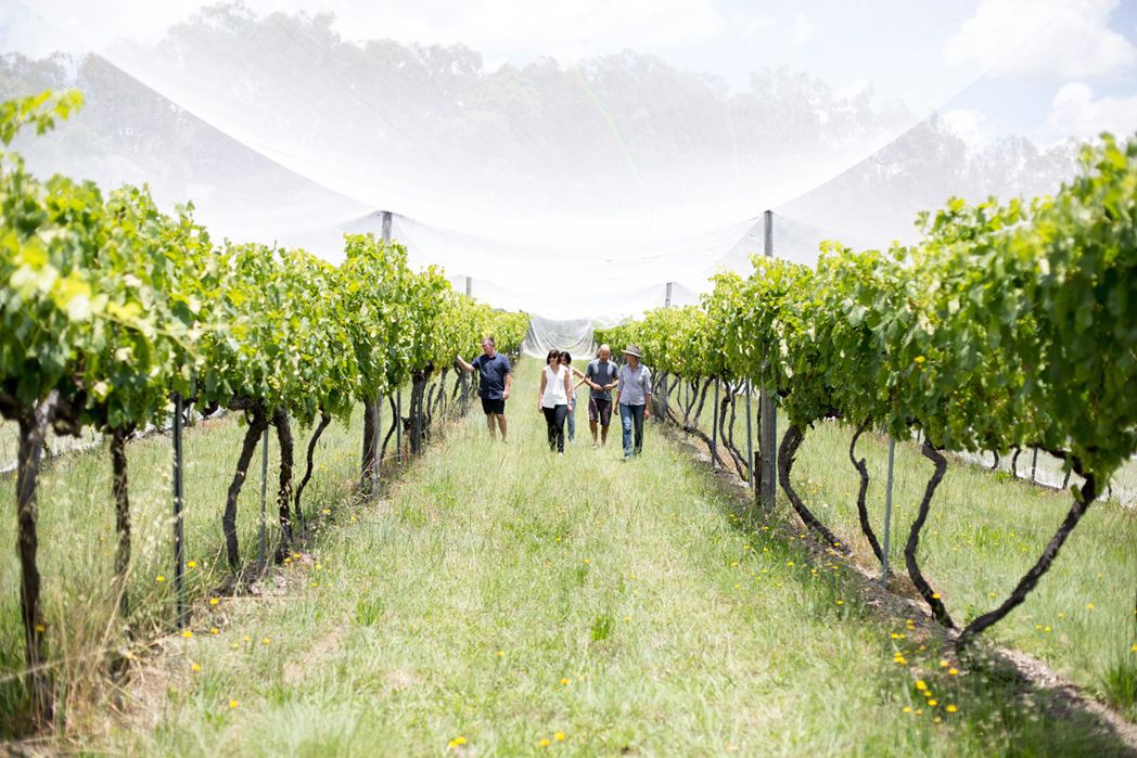 Granite Belt Guide Southern Queensland Country Queensland