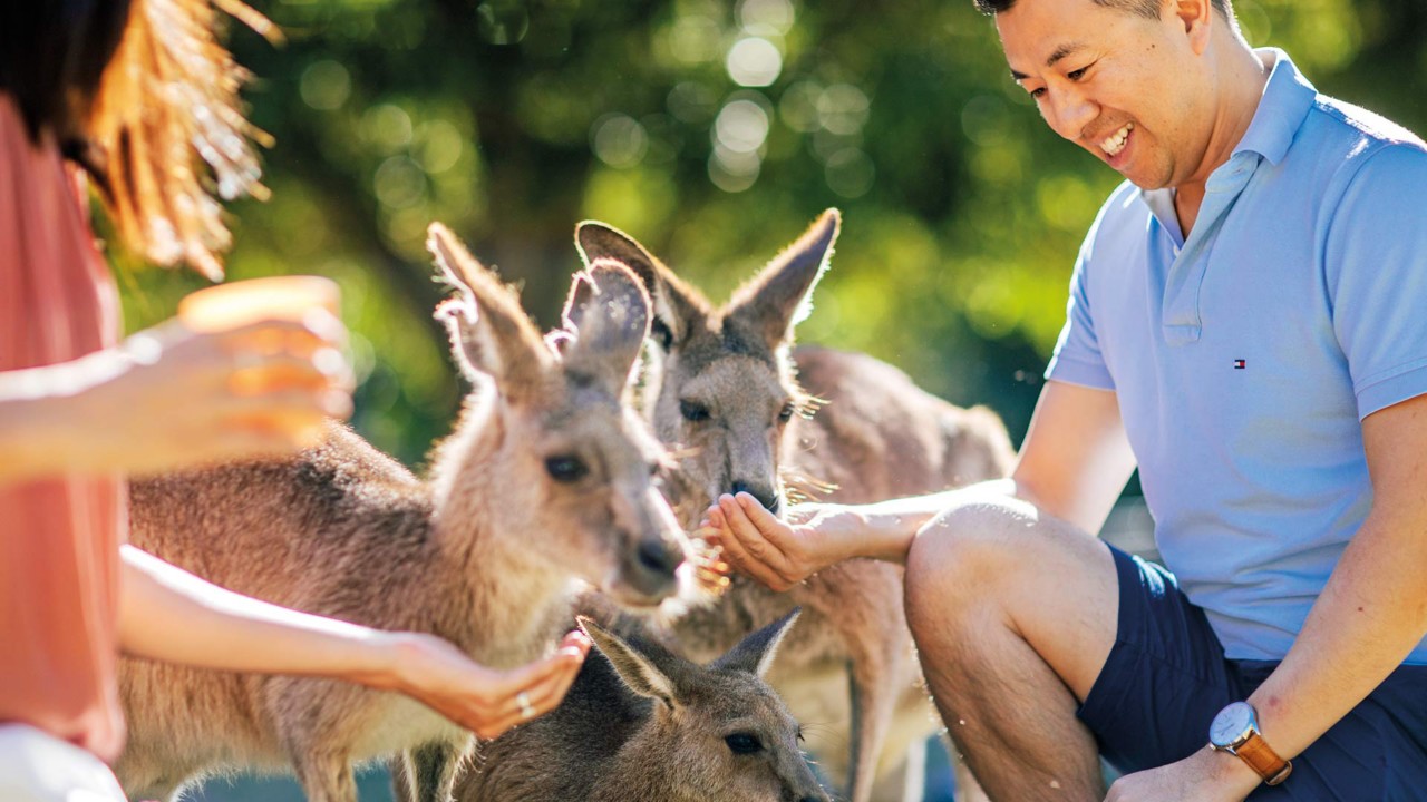Your Guide to Queensland's Zoos and Sanctuaries Queensland
