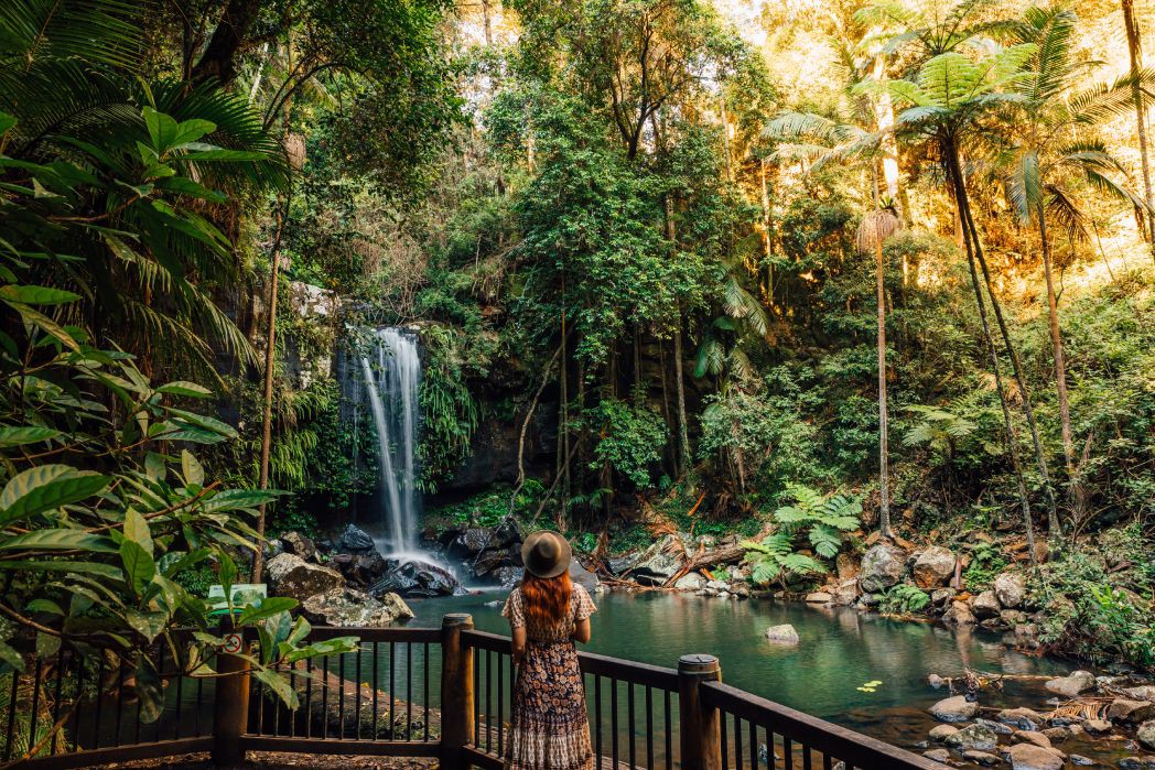 visit mt tamborine