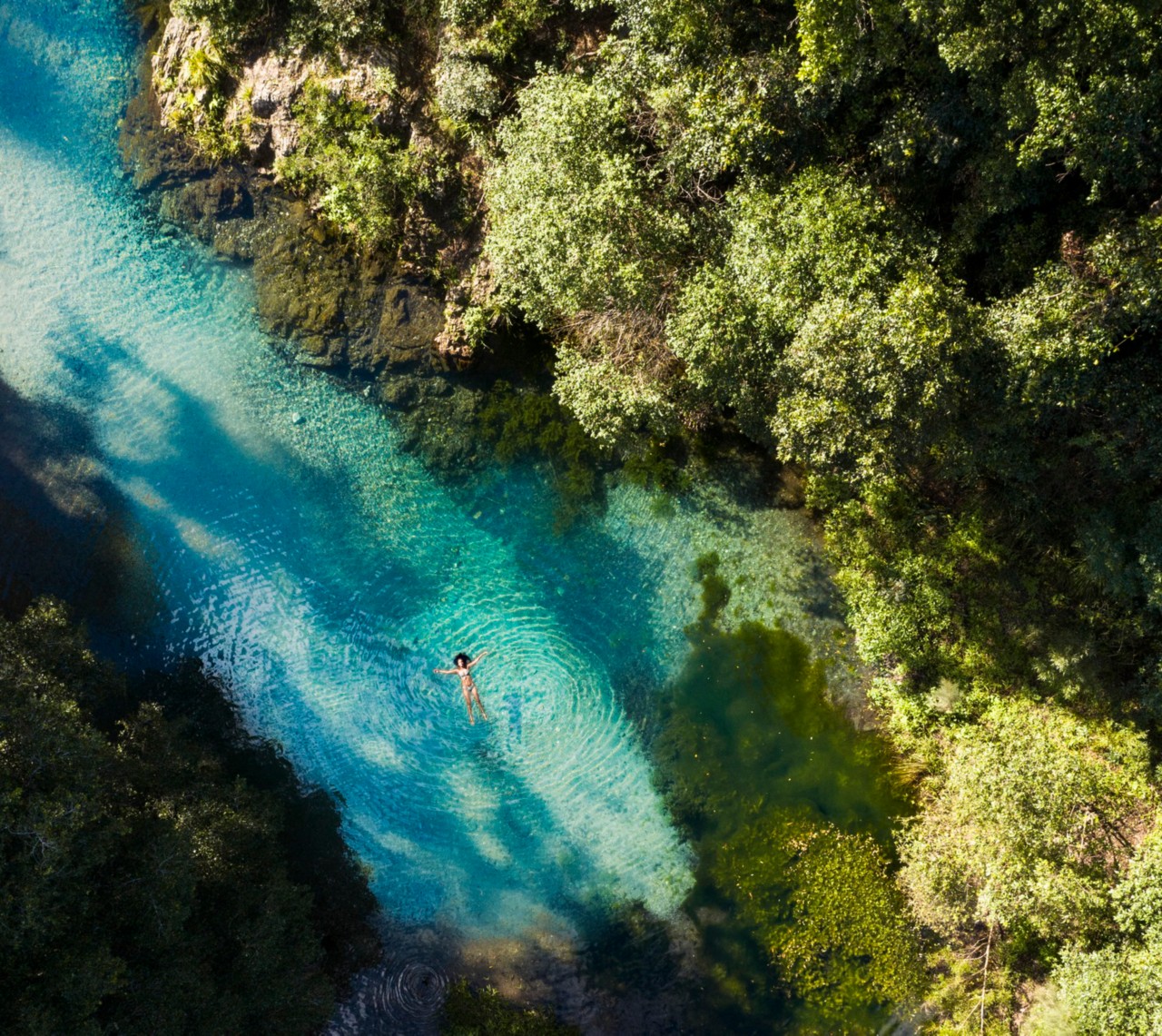 How to do Conondale National Park