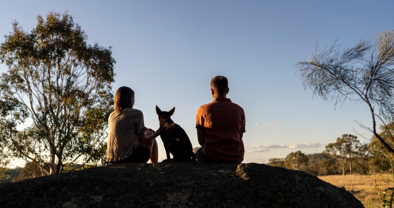 Pet-friendly accommodation in Queensland | Queensland