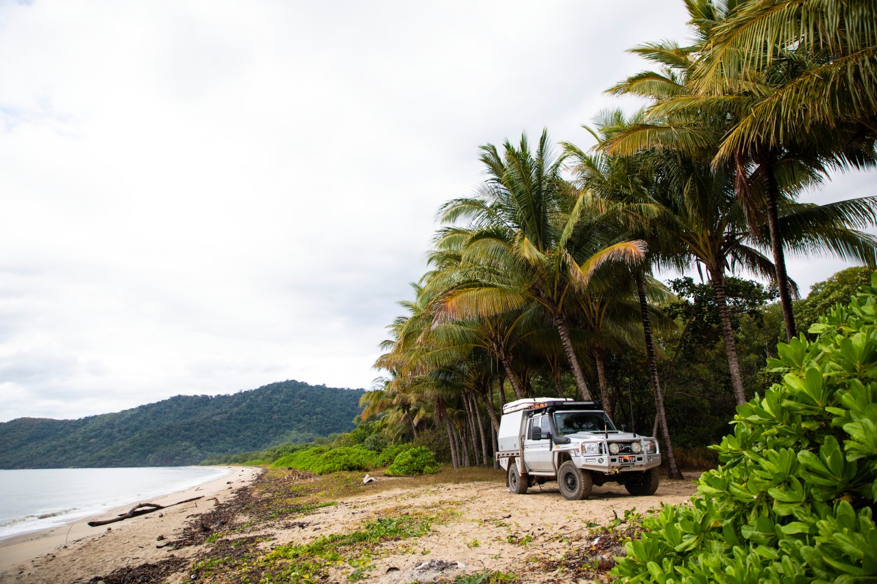 Pet Friendly Camping In Cairns The Great Barrier Reef Queensland