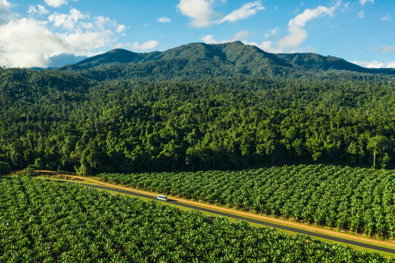 48 Hours In Mission Beach & Tully Weekend Itinerary Queensland