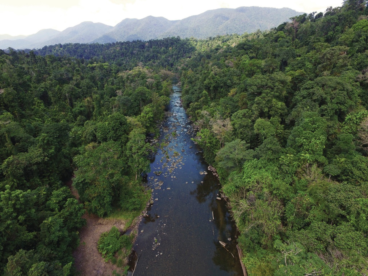 Cairns, Tully and Mission Beach Itinerary 4 Day Nature Fix Queensland