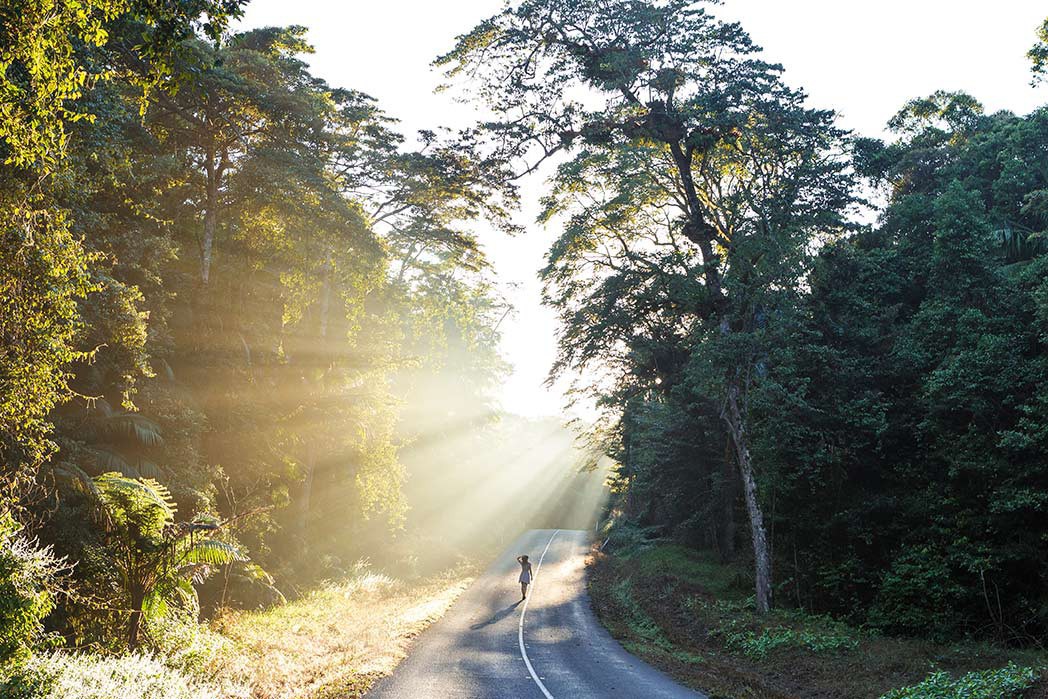 Mackay Road Trip Holiday Planning Guide Queensland