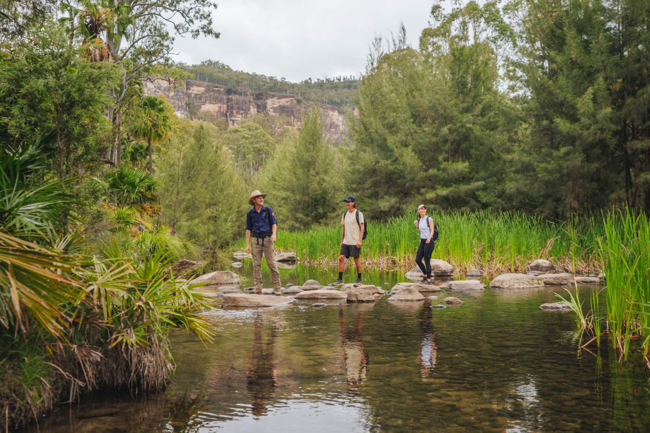 Queensland Best Walks and Hikes Queensland