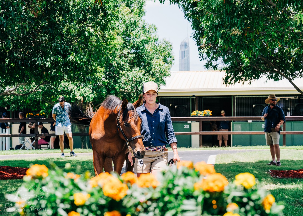 A Glamorous Guide To The 2021 Magic Millions Carnival Queensland